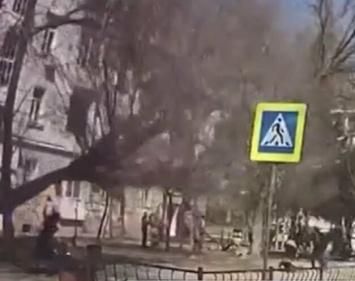 В Крыму дерево упало на маму с коляской: проводятся проверки, - ВИДЕО
