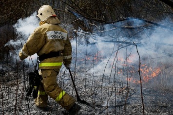 Под Черняховском пожарные поймали поджигателя травы