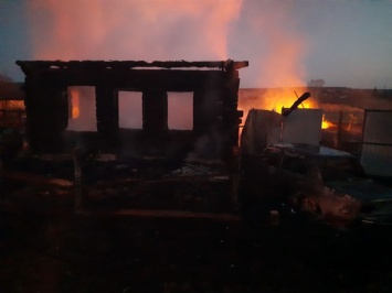 Пятеро детей погибли при пожаре в частном доме на Урале