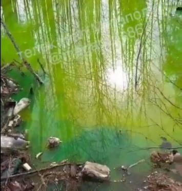 Озеро кислотного цвета обнаружили в промышленной зоне Нижневартовска