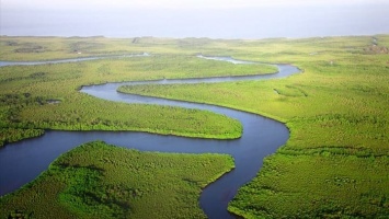 Русла пяти рек в Алтайском крае собираются расчистить