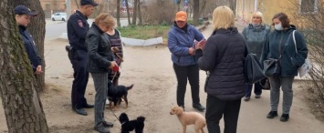 В Калуге штрафуют собаководов за неубранные фекалии