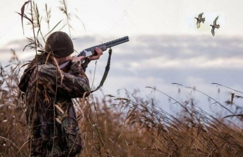Охота на птиц открыта в Ульяновской области