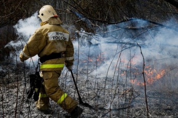 С начала года из-за палов травы сгорело почти 500 га территории региона