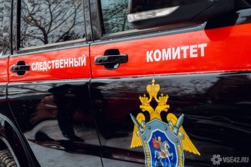 СК возбудил уголовное дело о нападении работницы школы на ребенка в Кемерове