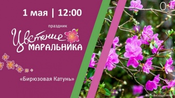 Публикуем программу «Цветения маральника» на Алтае