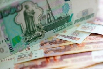 Власти Зеленоградска обещают 50 тысяч рублей за помощь в розыске похитителя туй
