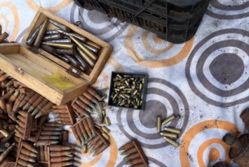 Гранаты, патроны, снаряды: у жителя Светлого нашли склад боеприпасов времен ВОВ (видео)