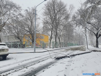 Снежный циклон обрушил столбы и деревья на Сахалине