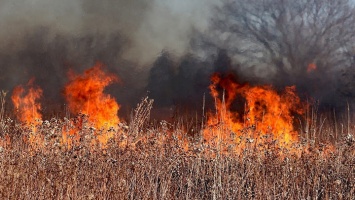138 пожаров потушено в Алтайском крае за сутки