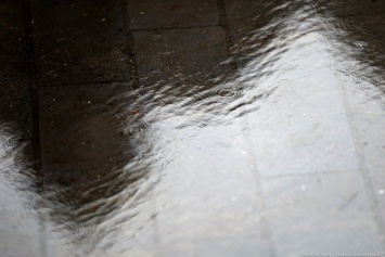 Синоптики обещают калининградцам до +15 градусов и дожди