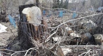 Неизвестные завалили могилы деревьями в Кузбассе