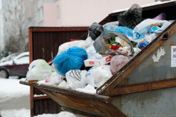 Власти оборудовали площадки для крупногабаритного мусора только в 11 муниципалитетах