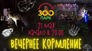 Барнаульцев приглашают на вечернее кормление животных в зоопарк