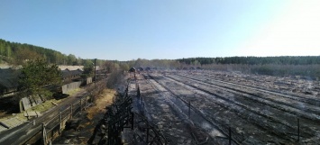 На бывшей звероферме в Пряжинском районе произошел крупный пожар