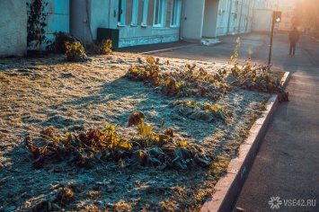 Период заморозков наступил в Кузбассе