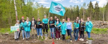 "Новые люди" восстанавливают уничтоженный лес в Боровском районе