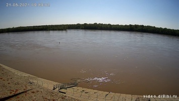 «Ждем коренной воды». Уровень воды резко растет в реке Бия в районе Бийска