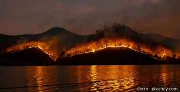 В Петропавловске-Камчатском объявили предпоследний уровень пожарной опасности