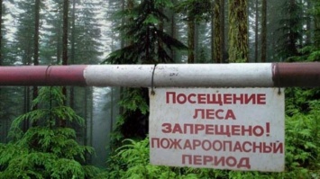Запрет на посещение крымских лесов продлен до середины июня