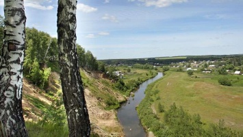 Барнаульцев приглашают на 15-километровую прогулку по ленточному бору