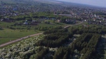 В Алтайском крае зацвел геоглиф «Октябрю 50 лет»