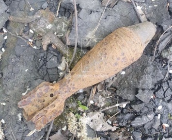 Новокузнечанка нашла снаряд от миномета во время уборки
