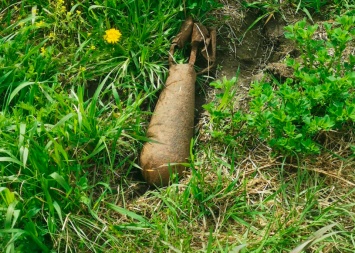 На пастбище в Ивановском районе найден старый боеприпас