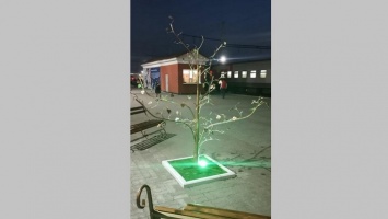 Металлические деревья с подсветкой установили на жд-вокзале Барнаула