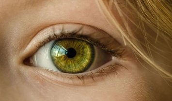 Российский офтальмолог рассказала о влиянии сутулости на снижение остроты зрения