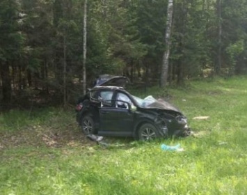 В столкновении с лесовозом на трассе «Кола» погибли две женщины и маленький ребенок
