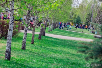 Власти прокомментировали жалобу кемеровчан на исчезновение туалетов в парке