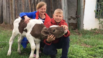 Как жителям Алтайского края переступить черту бедности