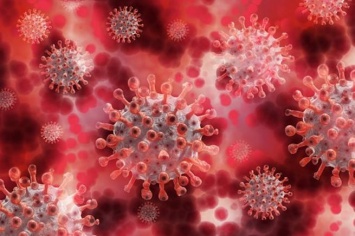 Канадские ученые объяснили низкий уровень кислорода в крови при коронавирусе