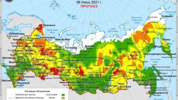 Лесопожарная обстановка в Алтайском крае улучшилась