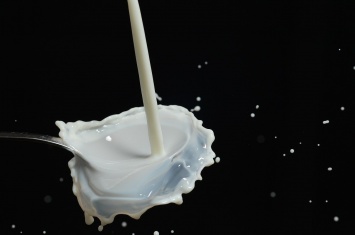 Россельхознадзор проверил 119 молочных предприятий: везде нарушения