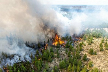 В Югре в Кондинском лесничестве снова бушует природный пожар