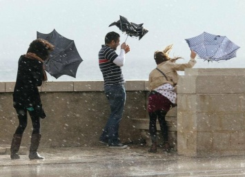 Дождь, гроза, порывистый ветер: в Югре ожидаются неблагоприятные погодные условия