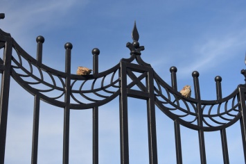 Двое москвичей украли позолоченную ограду с кладбища за полмиллиона рублей