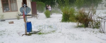 В июне как зимой: калужскую деревню накрыло белым покрывалом