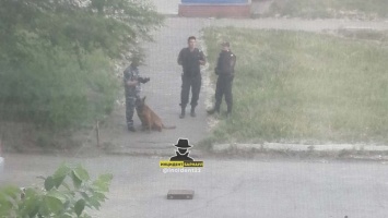 Странный чемодан обнаружили на улице в Барнауле
