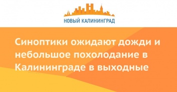 Синоптики ожидают дожди и небольшое похолодание в Калининграде в выходные