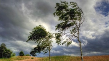 Штормовое предупреждение: в Алтайском крае возможен ураганный ветер