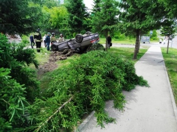 Перевернувшийся автомобиль повалил дерево возле кемеровской остановки