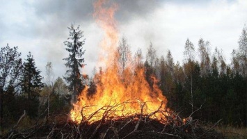 В Алтайском крае отменен противопожарный режим, но некоторые запреты остаются
