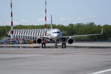 Анонсировано возобновление полетов между Россией и Болгарией