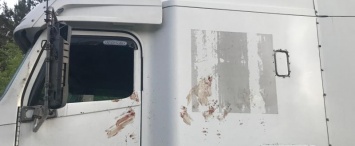В Калужской области задержали подозреваемого в убийстве водителя грузовика