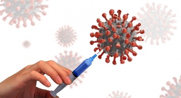 В России выявили продажу поддельных сертификатов о вакцинации от коронавируса