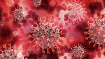 Еще более опасная мутация коронавируса появилась в Индии