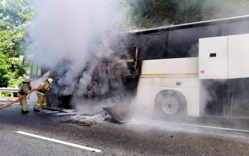 На Кубани в результате столкновения автобусов пострадали дети